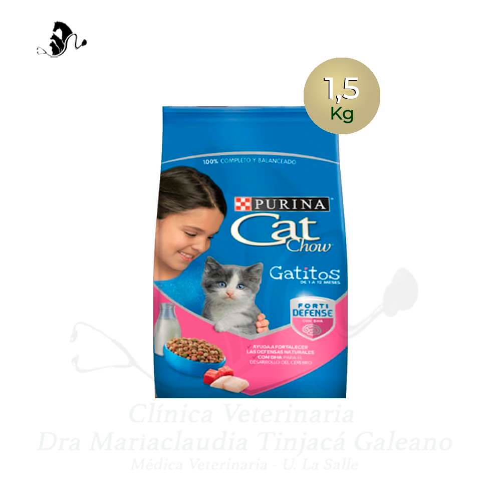 comida gato purina cat chow