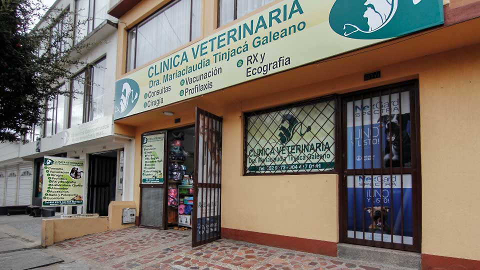 clinica veterinaria Zipaquira dra maria claudia Tinjacá